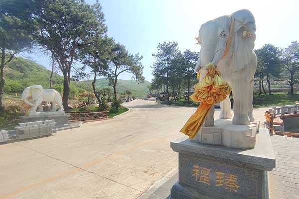 盘龙山墓园温情守望，永恒思念的静谧角落