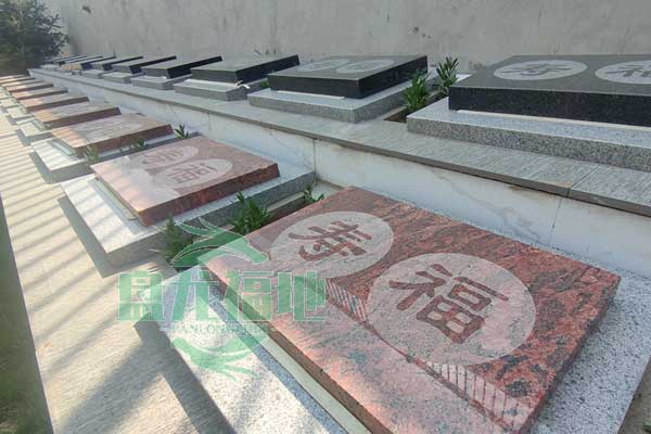 盘龙福地生命之园，心灵栖息地的永恒印记