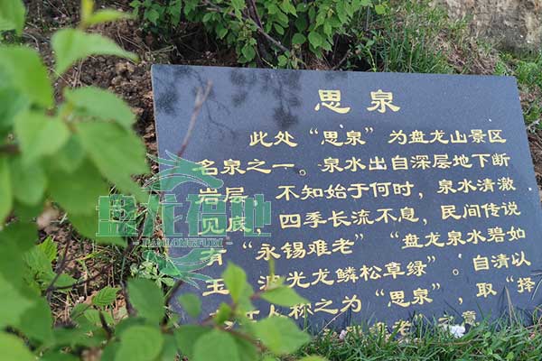 沈阳盘龙福地墓园，携手同行，温暖同行路