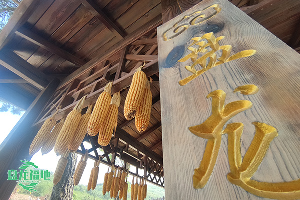 下葬陪葬品的摆放方法？沈阳墓地殡葬陪葬品摆放习俗与规范