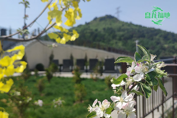 沈阳公墓选购指南：墓地编号中的文化含义与选择建议