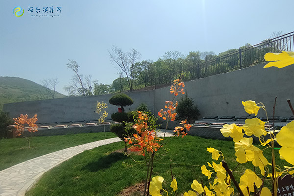 沈阳墓园允许烧纸吗？政策变化与现状解析