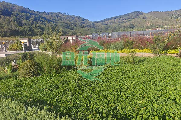 沈阳盘龙山墓园